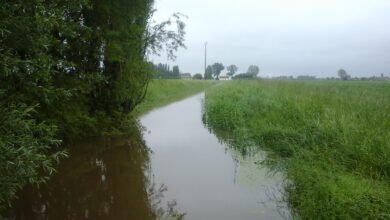 Photo of L’eau monte, la vallée de la Lys placée en vigilance orange « inondation »