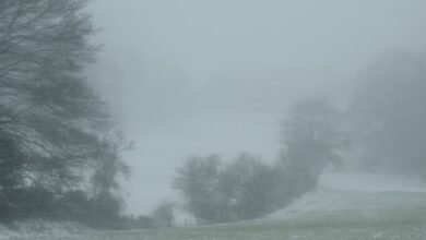 Photo of Météo : Semaine froide et mitigée en prévision sur la Flandre, du 27 novembre au 1er décembre 2023