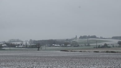Photo of Météo : Vers une semaine froide et sèche sur la Flandre, du 8 au 12 janvier 2024