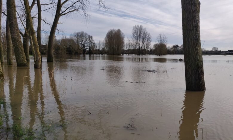 Photo of Intempéries en Flandre : Le pic de crue atteint sur la Lys ; De nouvelles pluies attendues vendredi